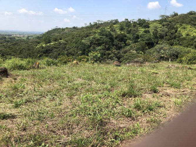 Lote en venta en Pance, Cali, 9000 m² · foto 6 de 7