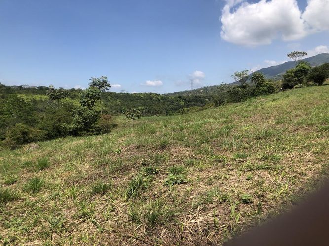 Lote en venta en Pance, Cali, 9000 m² · foto 7 de 7