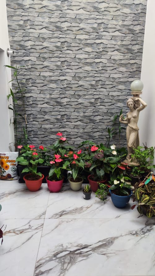 Casa de 3 alcobas en venta en Diego Echavarría, Medellín, 155 m² · foto 15 de 22