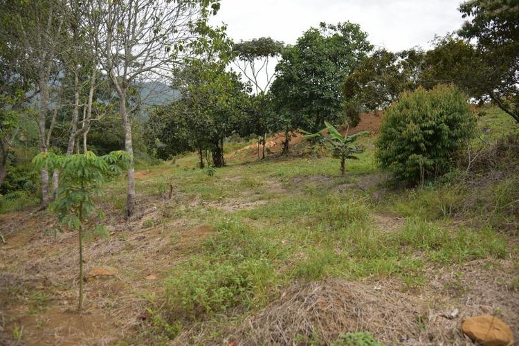 Lote en venta en Pance, Cali, 6000 m² · foto 4 de 8