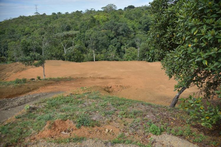 Lote en venta en Pance, Cali, 6000 m² · foto 6 de 8