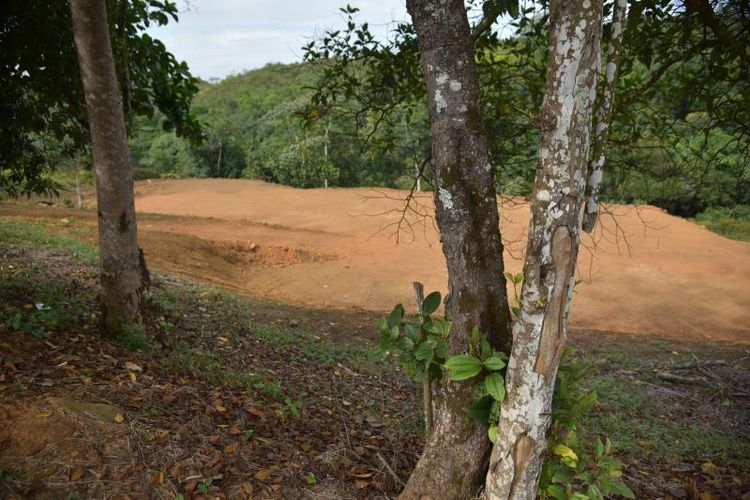 Lote en venta en Pance, Cali, 6000 m² · foto 7 de 8
