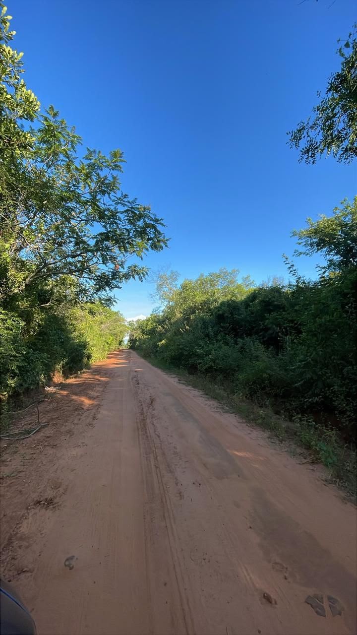 Vendo 6 hectáreas en Carapegua - Compañía Pacheco — foto 2