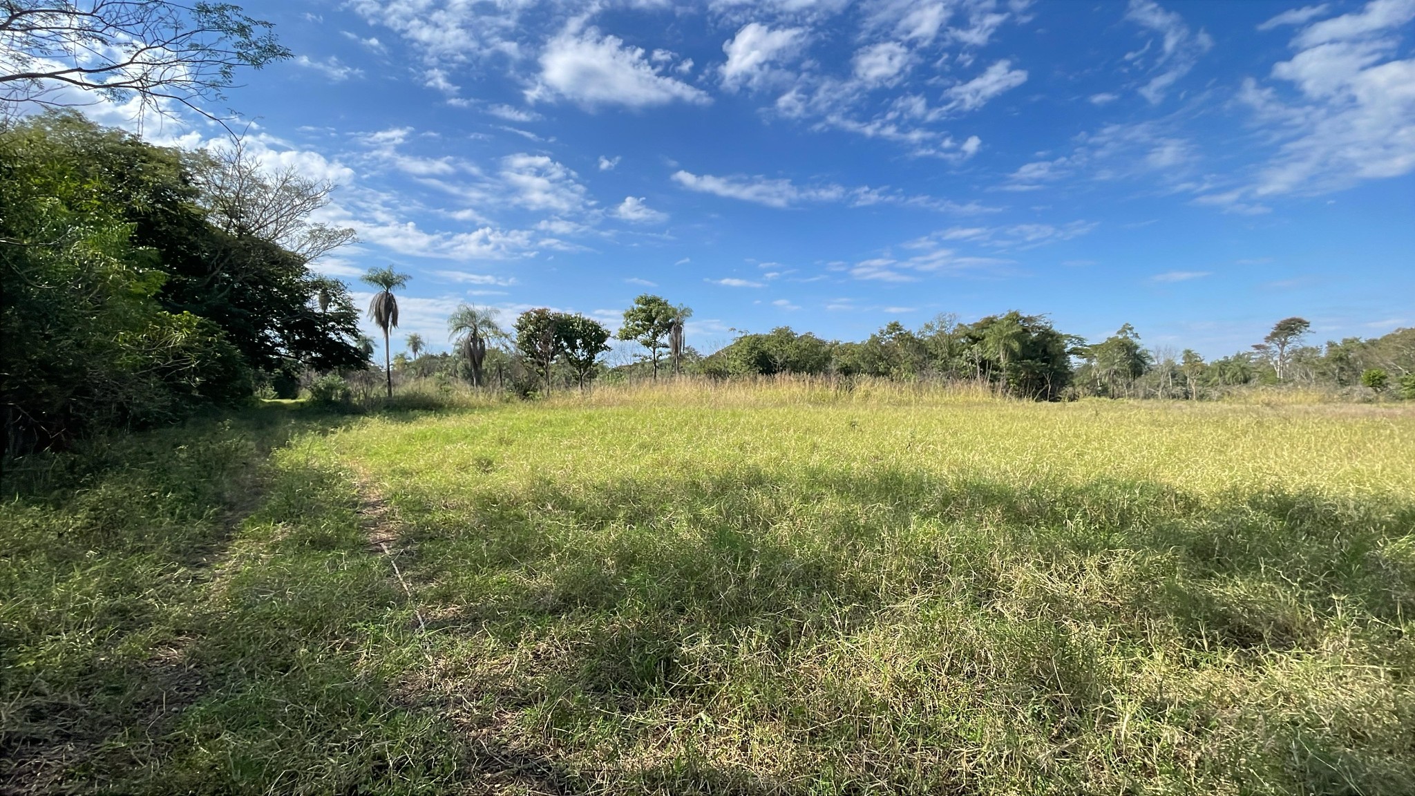 Vendo 3 hectáreas en Caraguatay — foto 2