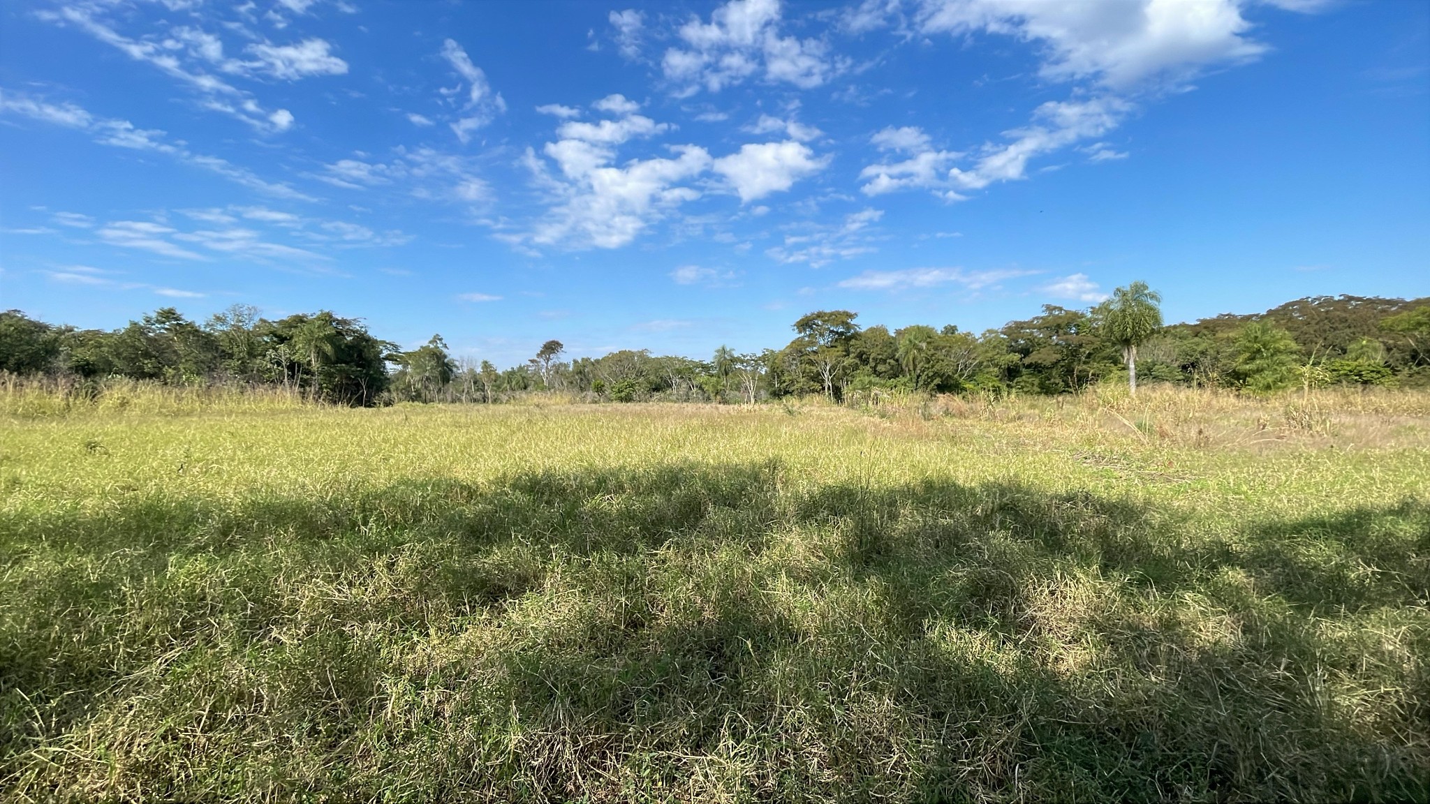 Vendo 3 hectáreas en Caraguatay — foto 3