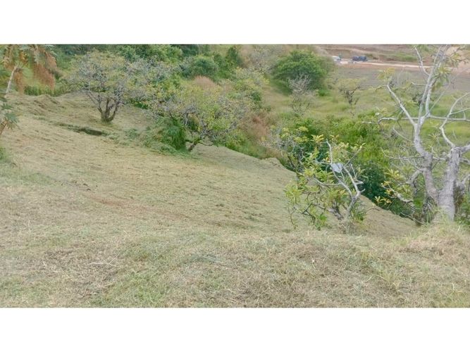 Lote en venta en Quirama, Rionegro, 2600 m² · foto 3 de 9