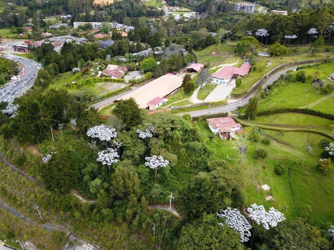 Lote en venta en Centro, Rionegro, 10709 m² · foto 13 de 16