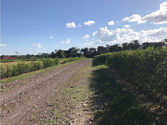 Lote en venta en Balcones, Villavicencio, 3300 m² · foto 16 de 17