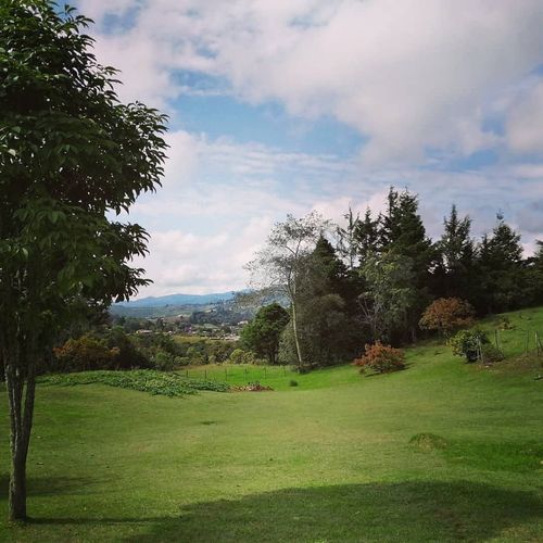 Finca en venta en Las Vegas, Envigado, 287 m² · foto 3 de 24