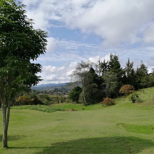 Finca en venta en Las Vegas, Envigado, 287 m² · foto 5 de 24