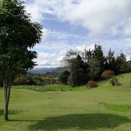 Finca en venta en Las Vegas, Envigado, 287 m² · foto 9 de 24