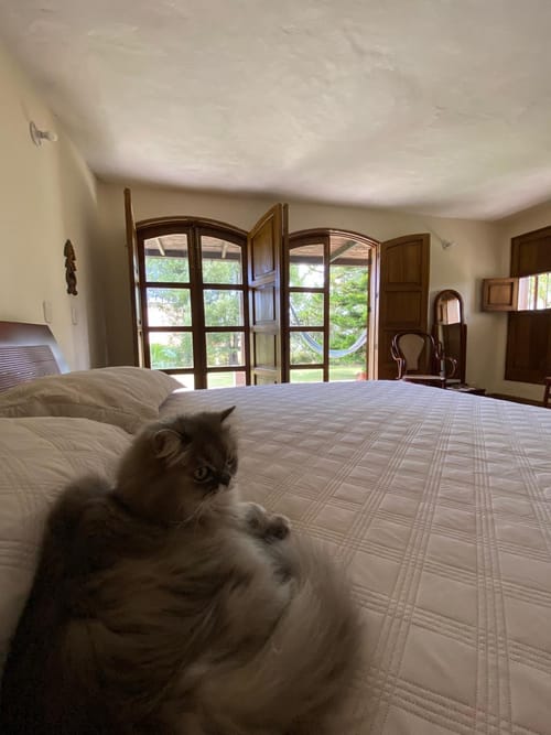 Casa de 4 alcobas en venta en Centro, Rionegro, 450 m² · foto 22 de 24