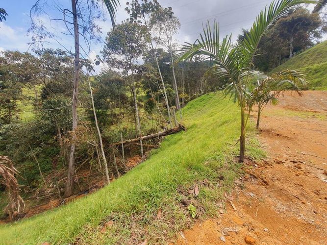 Lote en venta en Llano Grande, Rionegro, 4400 m² · foto 4 de 15