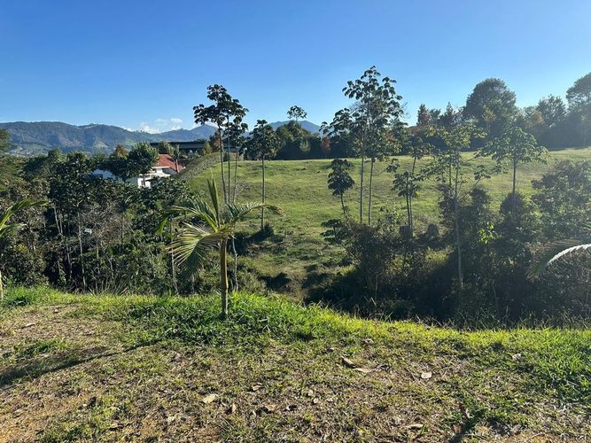 Lote en venta en Llano Grande, Rionegro, 4400 m² · foto 13 de 15