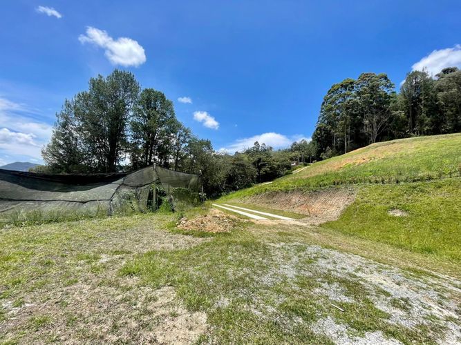 Lote en venta en El Tambo, La Ceja, 3375 m² · foto 8 de 18