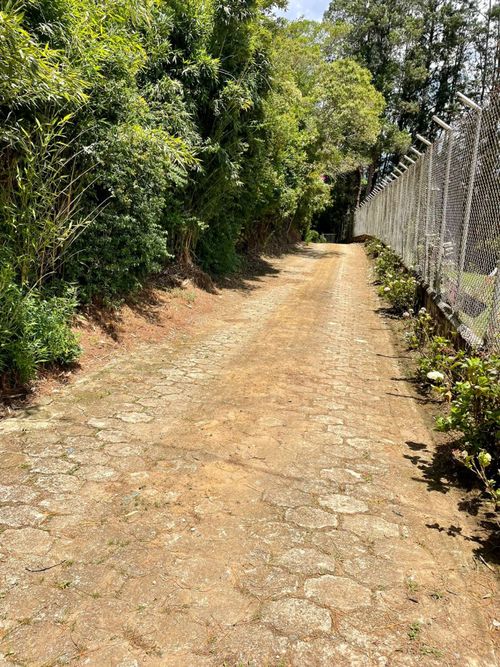 Lote en venta en El Tambo, La Ceja, 3375 m² · foto 11 de 18