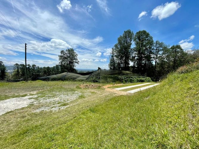 Lote en venta en El Tambo, La Ceja, 3375 m² · foto 16 de 18