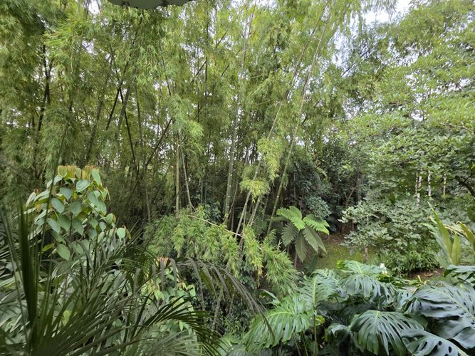 Casa de 3 alcobas en venta en El Esmeraldal, Envigado, 328 m² · foto 24 de 24