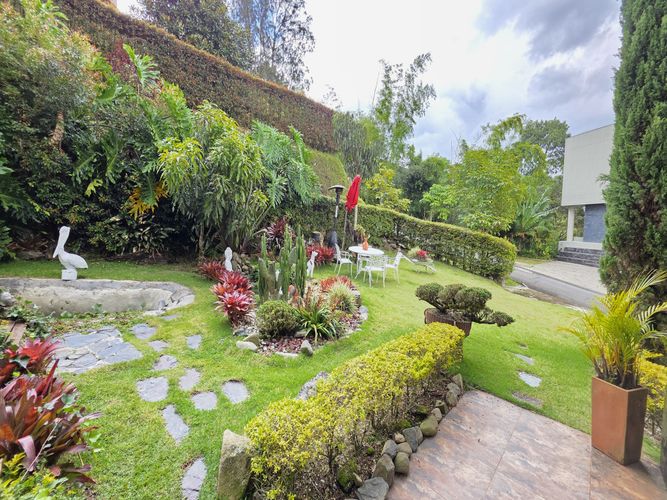 Casa de 3 alcobas en venta en Los Balsos, Medellín, 450 m² · foto 5 de 21