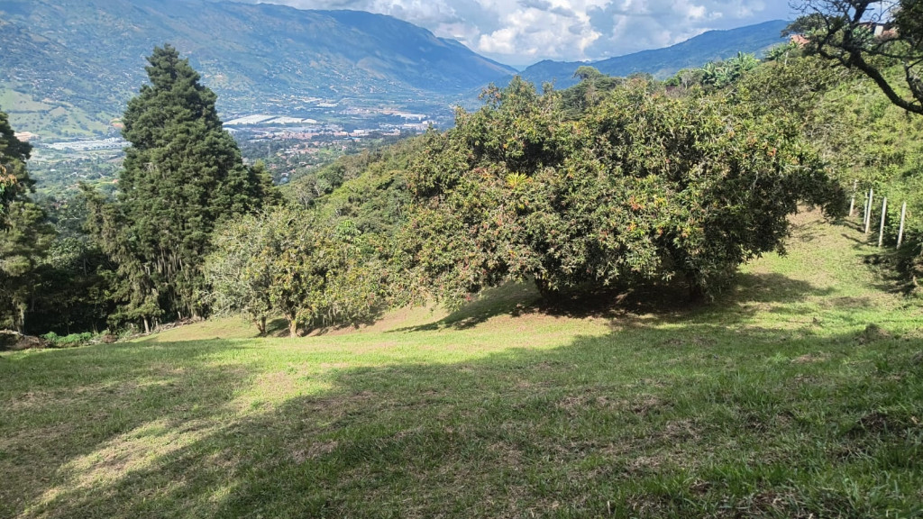 Land in Centro (4500 m²) for Sale