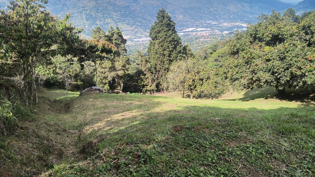 Land in Centro (4500 m²) for Sale - 3