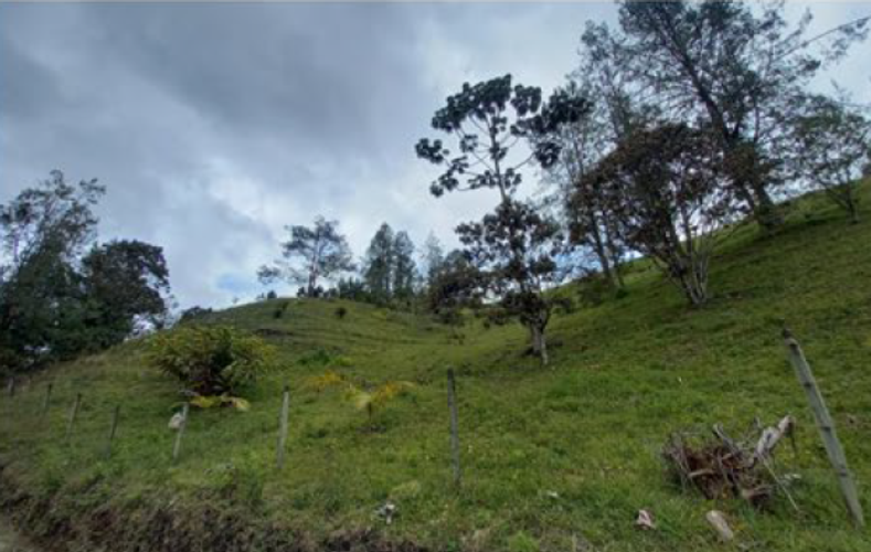 Lote en venta en Puente Pelaez, El Retiro, 9211 m² · foto 4 de 13