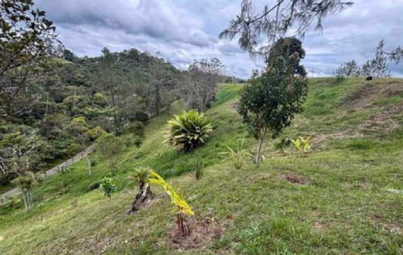 Lote en venta en Puente Pelaez, El Retiro, 9211 m² · foto 9 de 13