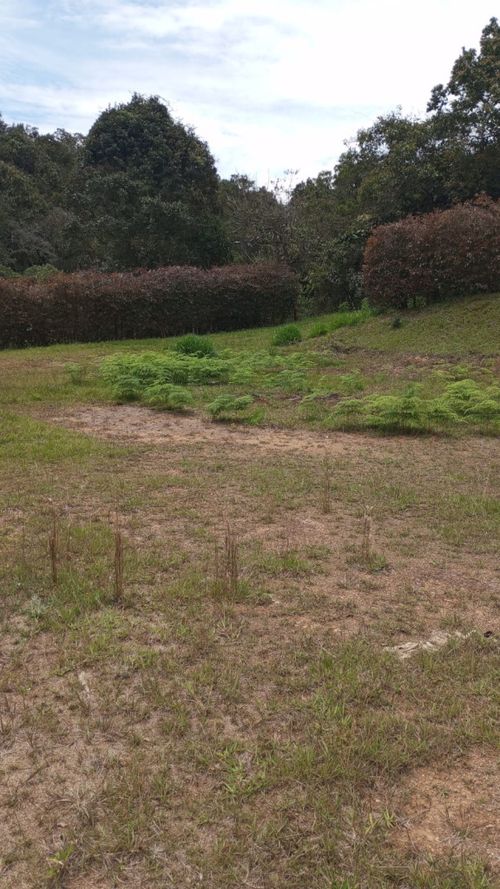 Lote en venta en Alto De La Virgen, Guarne · foto 2 de 7
