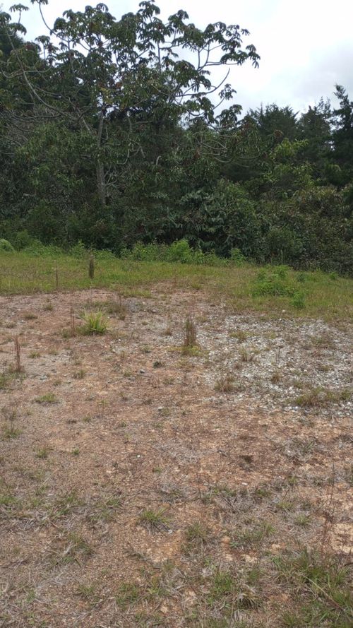 Lote en venta en Alto De La Virgen, Guarne · foto 3 de 7