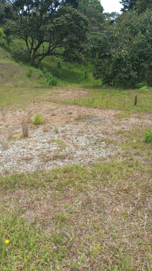 Lote en venta en Alto De La Virgen, Guarne · foto 4 de 7