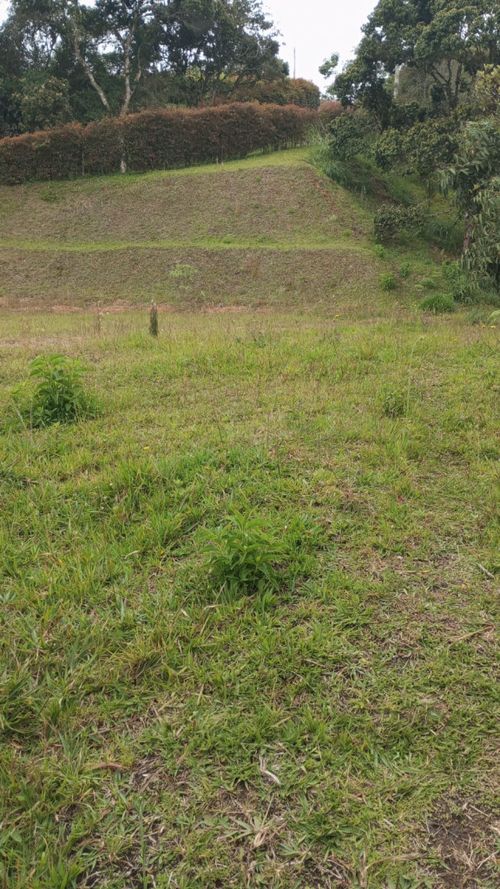Lote en venta en Alto De La Virgen, Guarne · foto 6 de 7