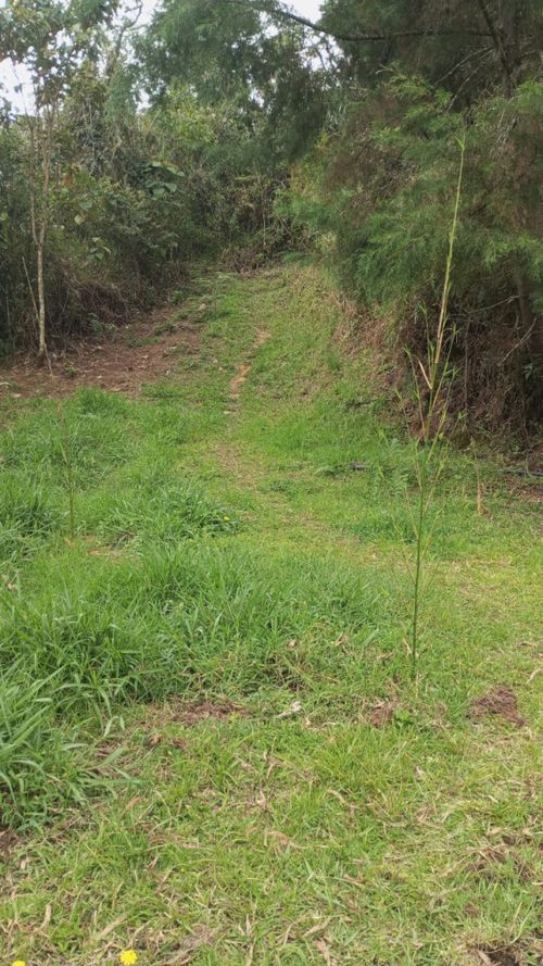 Lote en venta en Alto De La Virgen, Guarne · foto 7 de 7