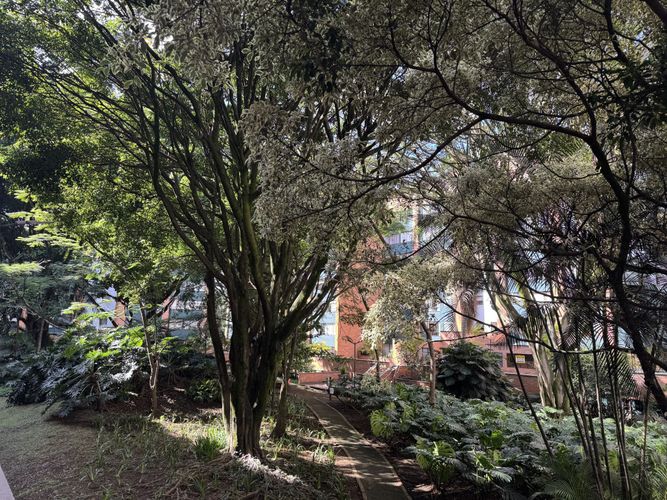 Apartamento en venta en El Campestre, Medellín · foto 13 de 19