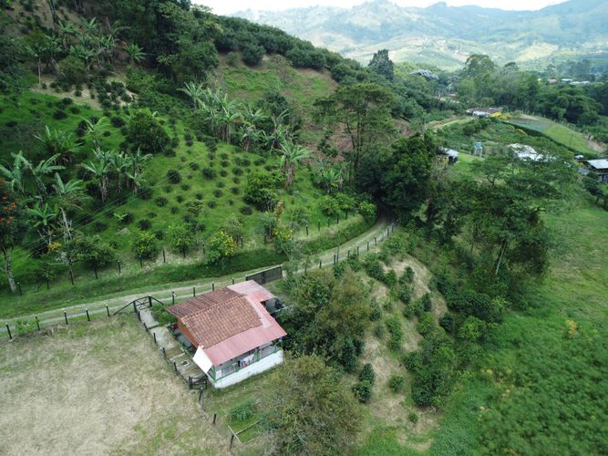 Finca en venta en La Florida, Pereira, 38000 m² · foto 5 de 24