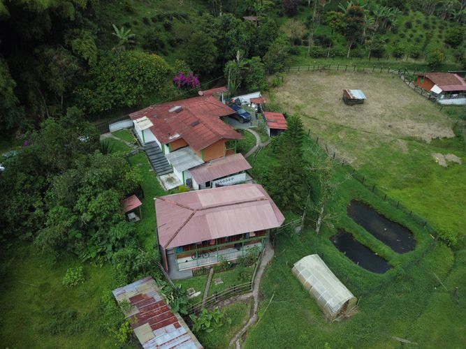 Finca en venta en La Florida, Pereira, 38000 m² · foto 6 de 24