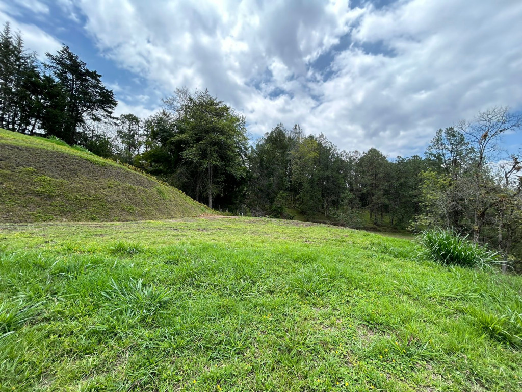 Land in Los salados for Sale