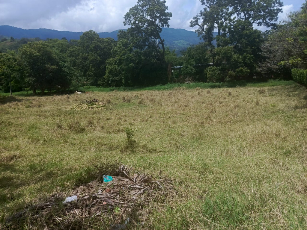 Land in Centro for Sale