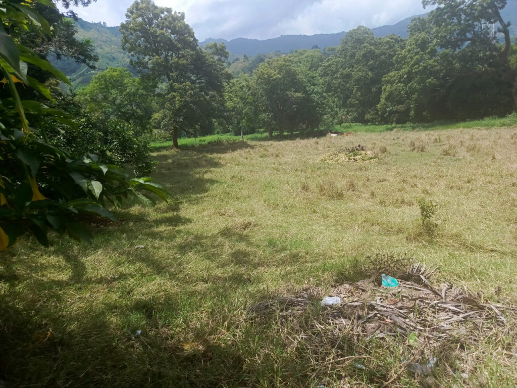 Land in Centro for Sale - 4