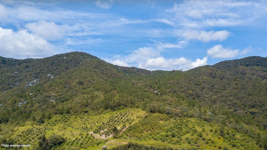 Lote en venta en La Ceja, 2600 m² · foto 3 de 13