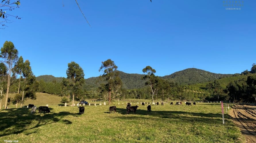 Lote en venta en La Ceja, 2600 m² · foto 4 de 13