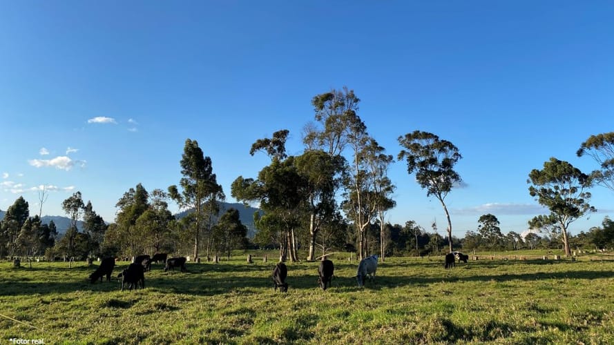 Lote en venta en La Ceja, 2600 m² · foto 5 de 13