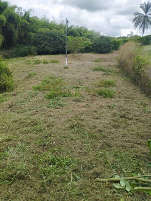 Lote en venta en Cerritos, Pereira, 4725 m² · foto 6 de 8