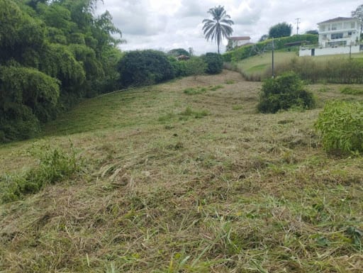 Lote en venta en Cerritos, Pereira, 4725 m² · foto 8 de 8