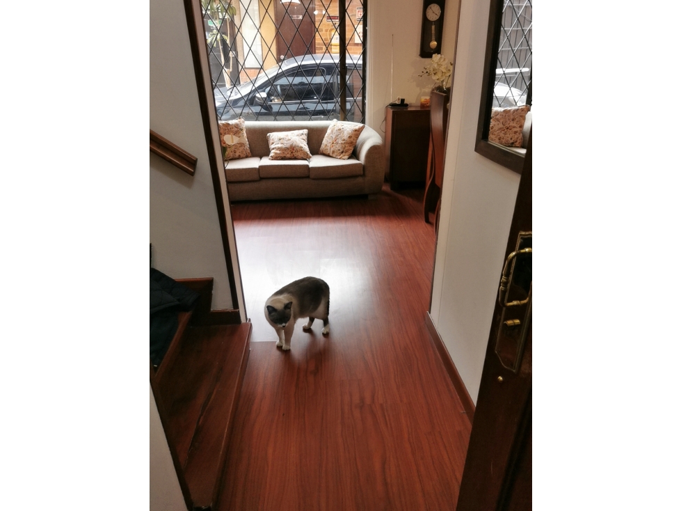 Casa en venta en Cedritos, Bogotá · foto 5 de 24