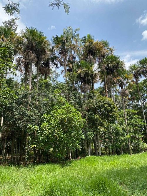 Lote en venta en Apiay, Villavicencio, 2873 m² · foto 5 de 5