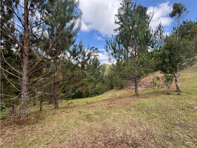 Lote en venta en Don Diego, El Retiro, 5751 m² · foto 2 de 8