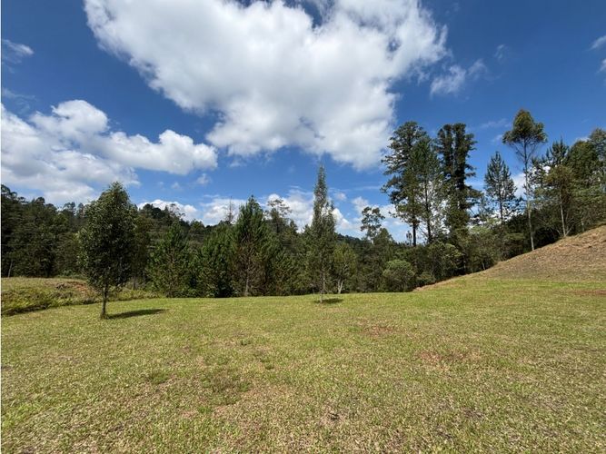 Lote en venta en Don Diego, El Retiro, 5751 m² · foto 3 de 8