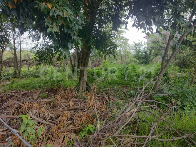 Lote en venta en San Gregorio, Villavicencio, 552 m² · foto 3 de 10