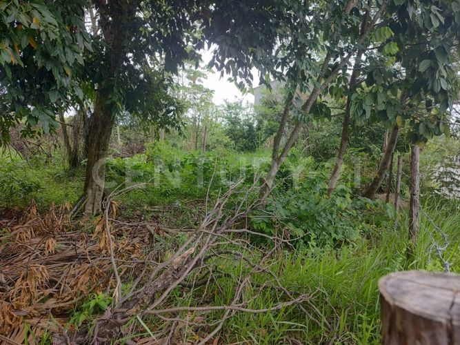 Lote en venta en San Gregorio, Villavicencio, 552 m² · foto 4 de 10
