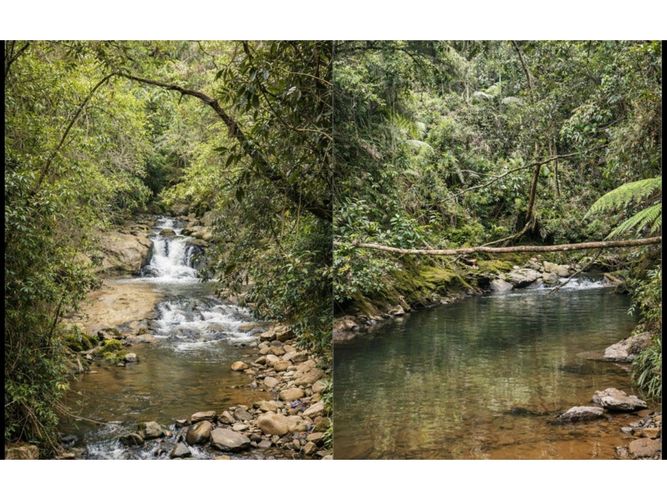 Lote en venta en Vía Las Palmas, Envigado, 751 m² · foto 4 de 6